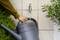 Une personne remplit un arrosoir gris avec de l'eau à un robinet, entourée de plantes.