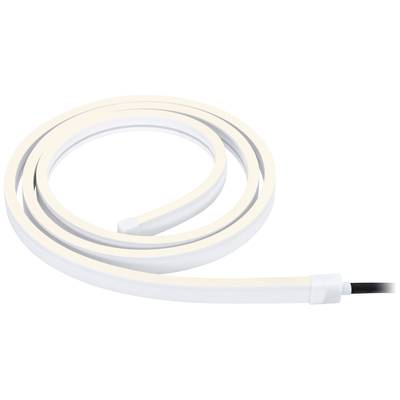 Une bande LED blanche, enroulée en spirale lâche, avec une extrémité de connexion noire. Idéal pour un éclairage indirect.