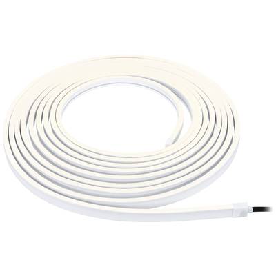 Une bande lumineuse LED longue et enroulée avec un design de bande blanche, adaptée à l'éclairage décoratif.