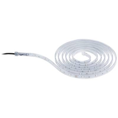 Une bande LED enroulée avec des diodes électroluminescentes visibles le long de la surface blanche. Un câble de connexion est fixé sur la gauche.