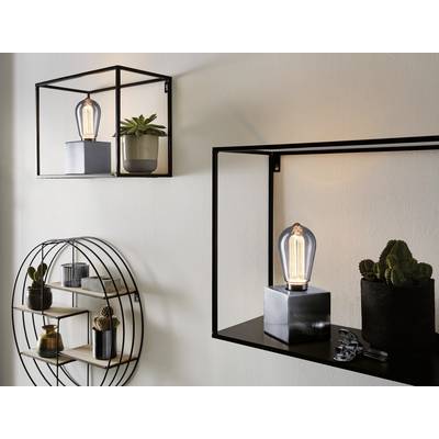 Régalez-vous de lampes décoratives et de plantes contre un mur blanc, soulignant un design moderne et minimaliste.
