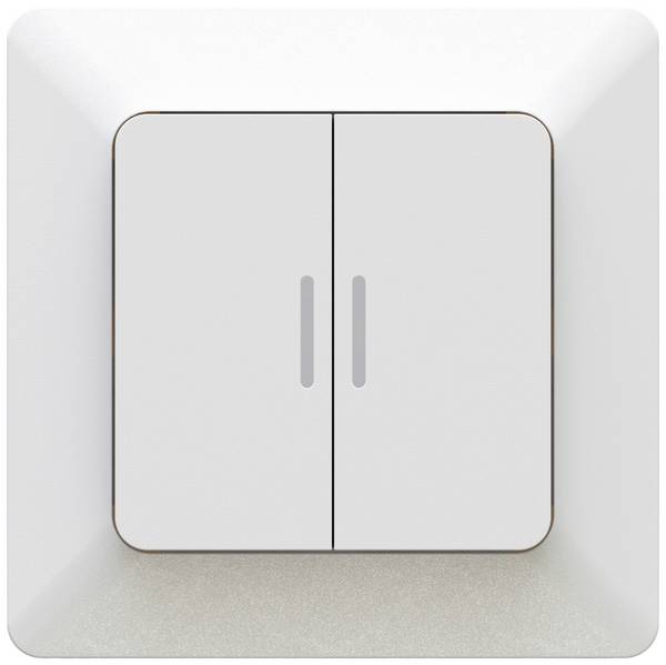 Max Hauri  Accessoire Interrupteur double   140351 1 pc(s)