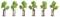 Six arbres modèles aux feuillages verts et aux troncs bruns sont alignés sur un fond clair.