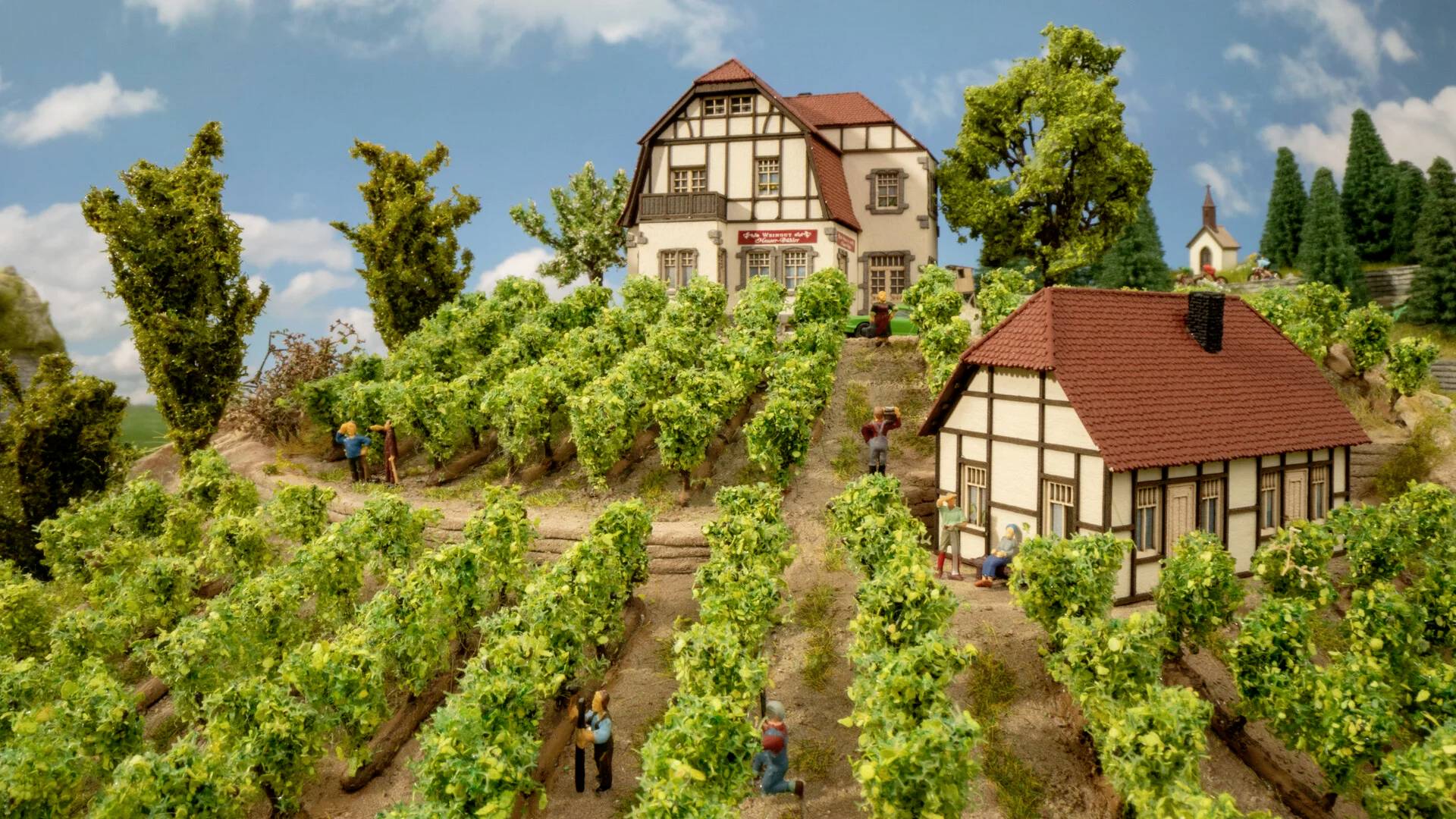 Un vignoble avec plusieurs rangées de vignes, une grande maison à colombages à l'arrière-plan et une petite maison au premier plan par temps ensoleillé. Plusieurs personnes sont au travail.