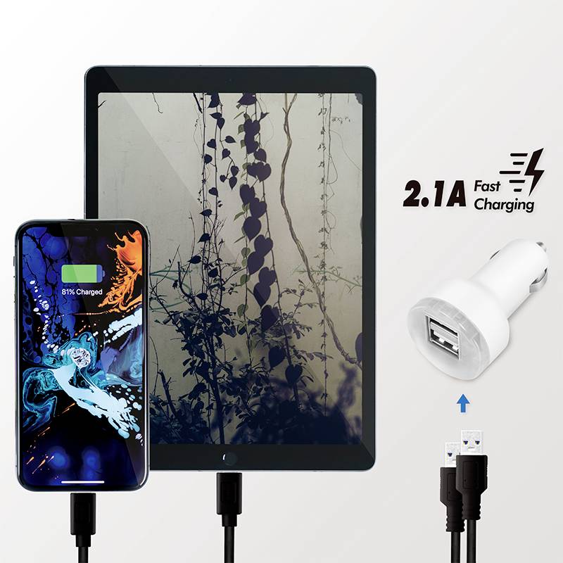Smartphone et tablette branchés au chargeur ; niveau de charge du smartphone à 81 %. Charge rapide avec 2,1A mise en évidence.