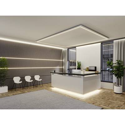 Espace d'accueil moderne avec un comptoir élégant, des bandes LED discrètes le long des murs et des plantes d'intérieur, sol en bois et moquette.