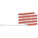 Paulmann 78863 Ruban LED (Base) avec connecteur mâle 230 V 1.5 m RVB 1 set