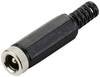 TRU COMPONENTS Elément de liaison pour courant faible femelle, droit 6.0 mm 2.5 mm 1 pc(s)