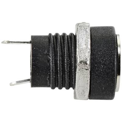 Manchon noir cylindrique avec deux broches métalliques, entouré d'un anneau métallique argenté. Utilisé pour la connexion d'appareils électriques.