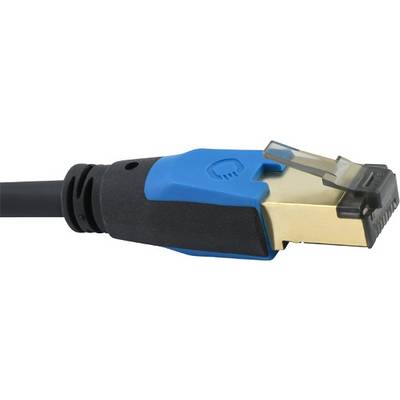 Un câble Ethernet avec une tête de connecteur bleue et une surface de contact dorée, utilisé pour les connexions réseau.