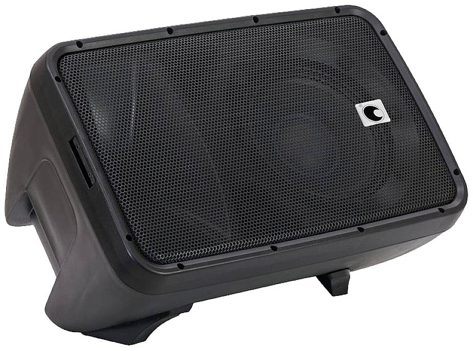 Haut-parleur noir au design incliné et avec grille, adapté pour une utilisation dans des configurations audio professionnelles.