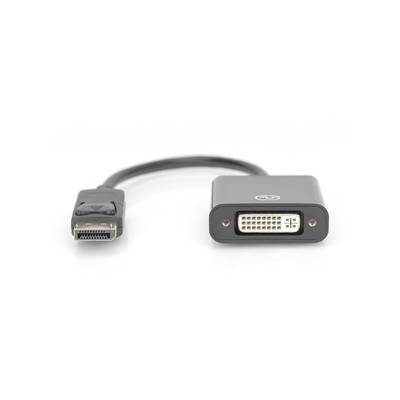 Câble de raccordement Digitus DisplayPort / DVI Fiche mâle