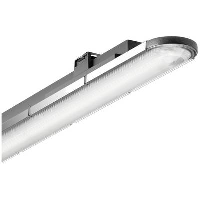 Lampe industrielle avec boîtier rectangulaire argenté et zone d'éclairage allongée et bombée. Adaptée aux grands espaces intérieurs.
