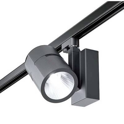 Spot de plafond noir avec boîtier rond et source lumineuse apparente, monté sur une rail.