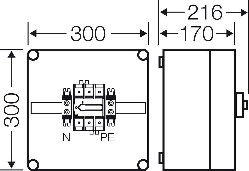 La figure montre un coffret électrique avec les dimensions suivantes : 300x300x170 mm. Étiqueté 'N' et 'PE' pour le conducteur neutre et le conducteur de protection.