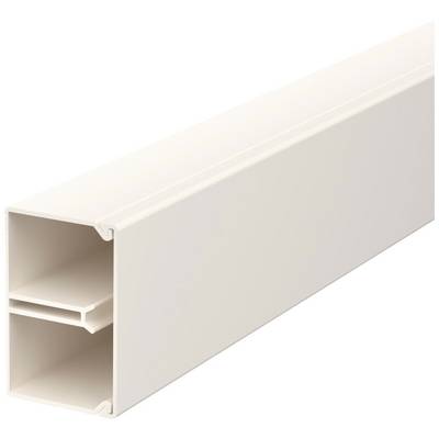 Un goulotte de câbles beige avec deux compartiments séparés pour un acheminement ordonné des câbles dans les environnements de bureau ou domestiques.