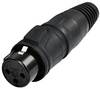 Rean AV RCX3F-Z-002-1 XLR femelle, droit Nombre de pôles: 3 1 pc(s)