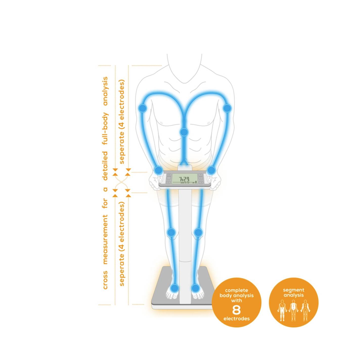 Diagramme d'un corps avec une analyse corporelle complète à base d'électrodes, montrant le poids corporel et les analyses segmentaires, avec 8 électrodes.