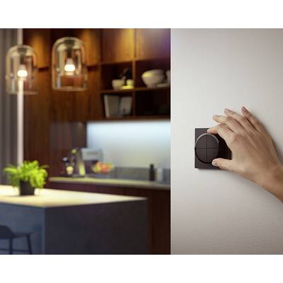 Une main tourne un variateur de lumière sur le mur. En arrière-plan, une cuisine moderne éclairée avec des plantes et des appareils électroménagers.