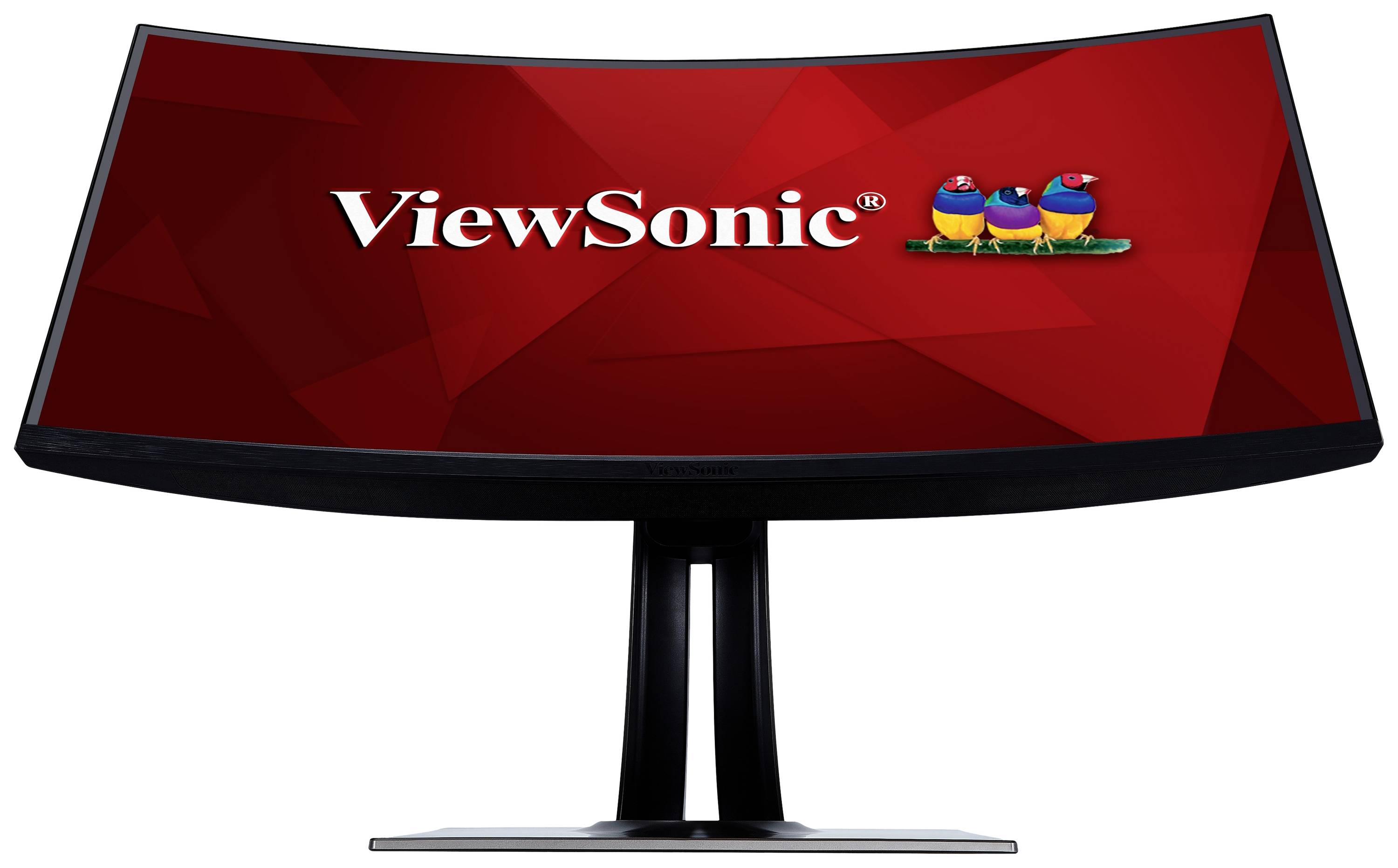 Un écran incurvé avec un cadre noir affiche le logo rouge de ViewSonic et trois oiseaux colorés perchés sur une branche.