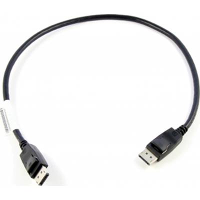 Lenovo DisplayPort Câble de raccordement Fiche mâle DisplayPort, Fiche mâle DisplayPort 0.5 m noir 0B47396  Câble Displa