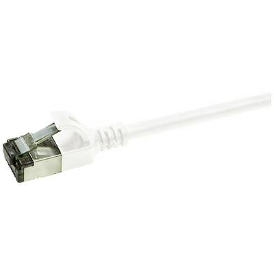 Un câble Ethernet argenté avec un effet de transparence sur un fond blanc, montrant une prise RJ45.