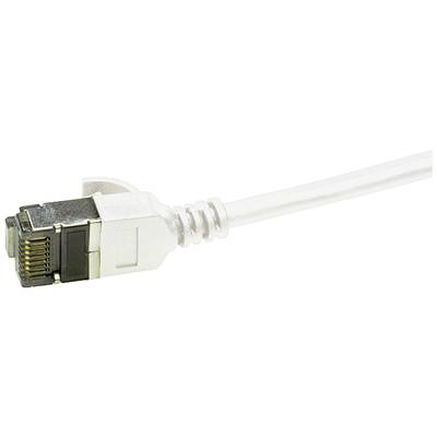 Un câble Ethernet avec connecteur RJ45. Le connecteur est argenté et montre les broches de connexion. Le câble est légèrement courbé.