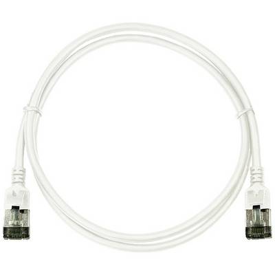 Un câble Ethernet blanc avec des connecteurs RJ45 aux deux extrémités, adapté pour les connexions réseau.