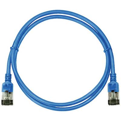 Câble Ethernet bleu avec deux connecteurs RJ45, utilisé pour connecter des appareils électroniques dans un réseau.