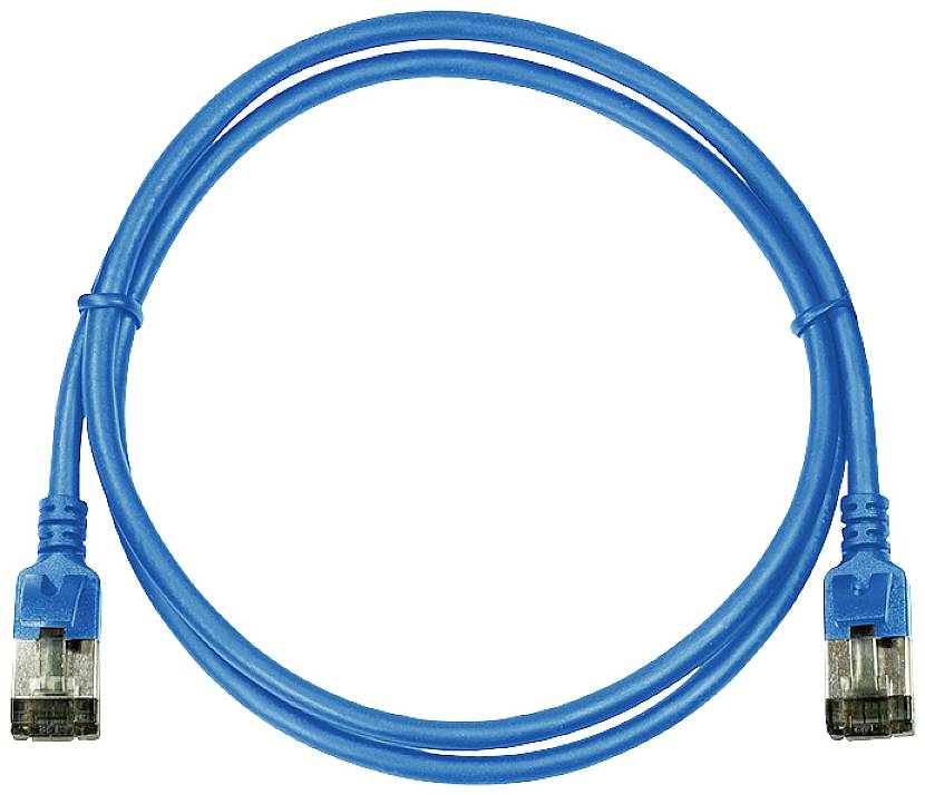 Câble Ethernet bleu avec deux connecteurs RJ45. Adapté pour les connexions réseau.