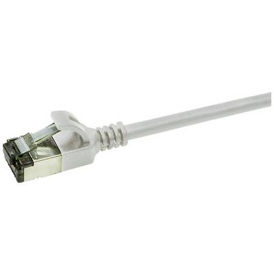Un câble Ethernet blanc avec une fiche RJ45 à son extrémité, utilisé pour les connexions réseau.