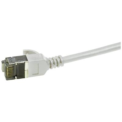 Un câble Ethernet gris avec une prise RJ45 est représenté. La prise est orientée vers la gauche ; le câble s'étend vers la droite.