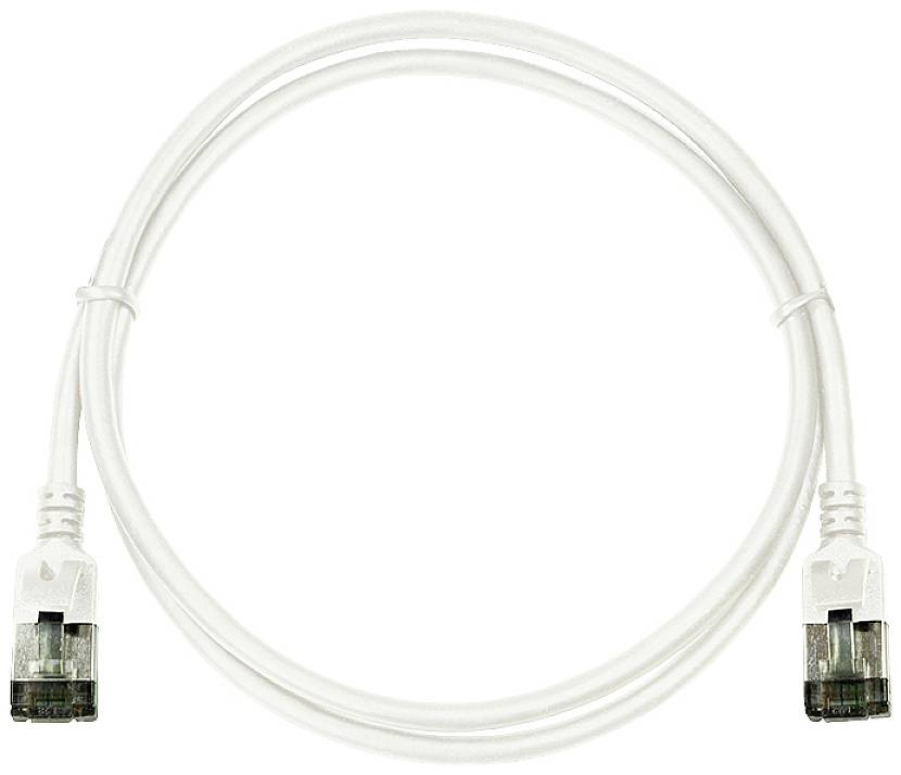 Un câble Ethernet blanc avec des connecteurs aux deux extrémités.