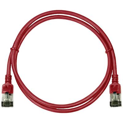 Câble Ethernet rouge avec deux connecteurs RJ-45.