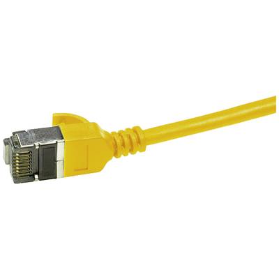 Câble réseau jaune avec un connecteur RJ45.