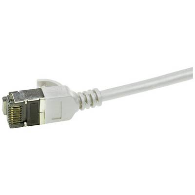Un câble Ethernet gris argent avec une fiche RJ-45 pour la transmission de données.