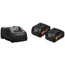 Fein 92604246010 GBA 18V 5Ah GAL1880CV AS N00 Batterie pour outil et chargeur 18 V 5 Ah Li-Ion