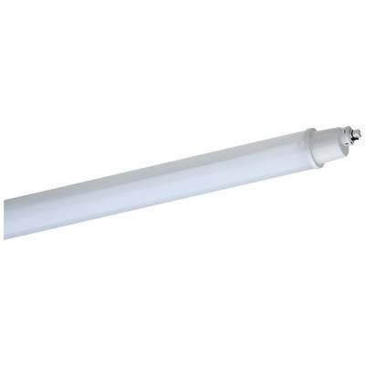 Une barre lumineuse LED blanche de forme cylindrique, posée horizontalement, montrant l'extrémité avec le connecteur.