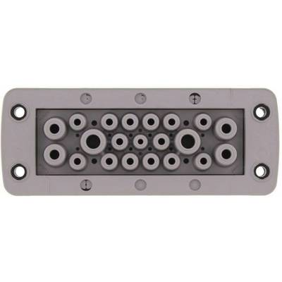 Un connecteur rectangulaire avec 21 broches rondes de différents diamètres. Adapté pour les connexions électriques dans des systèmes complexes.