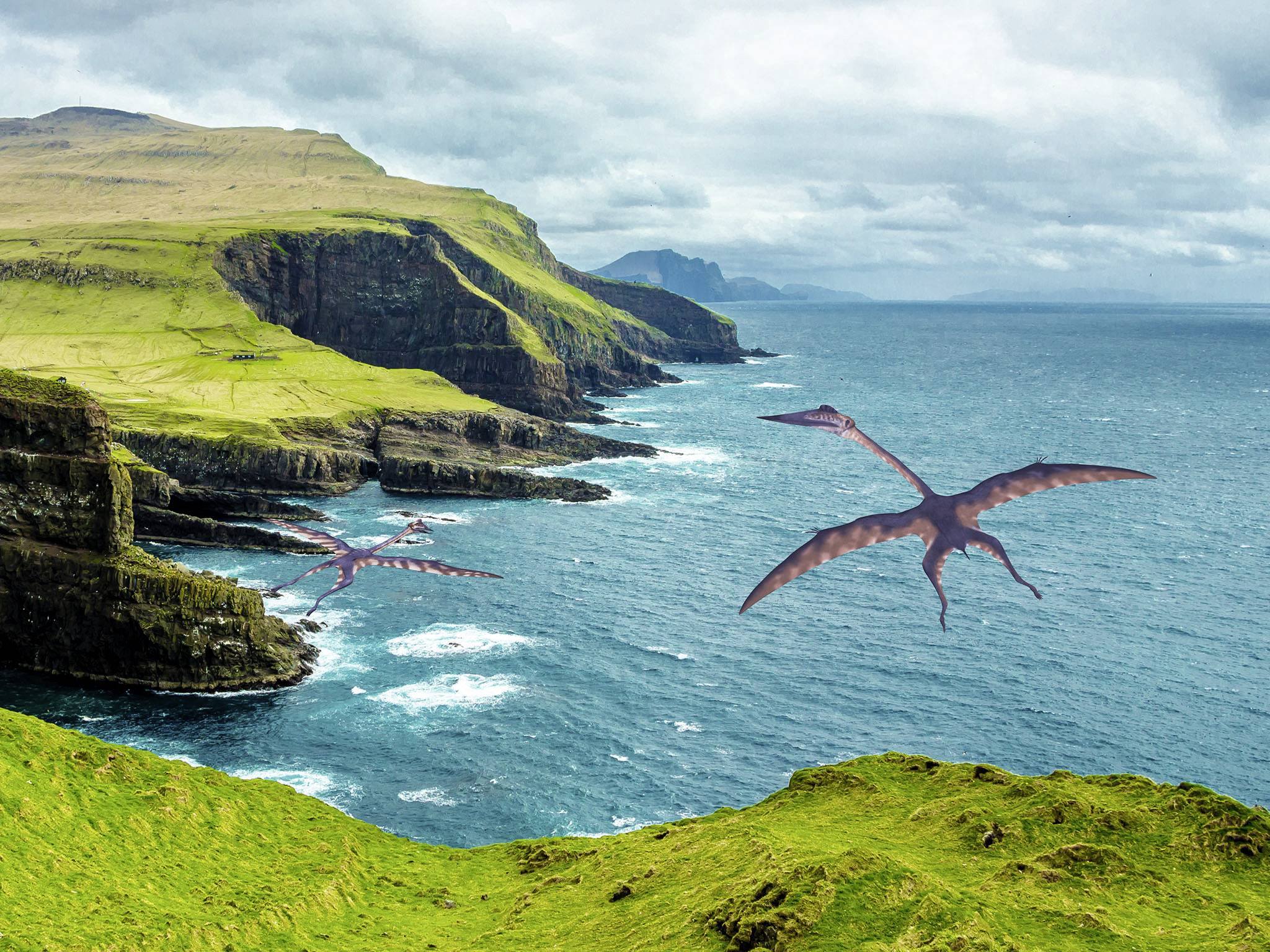Deux ptérodactyles volant au-dessus d'un paysage côtier rocheux avec des falaises couvertes d'herbe et une mer orageuse en arrière-plan.