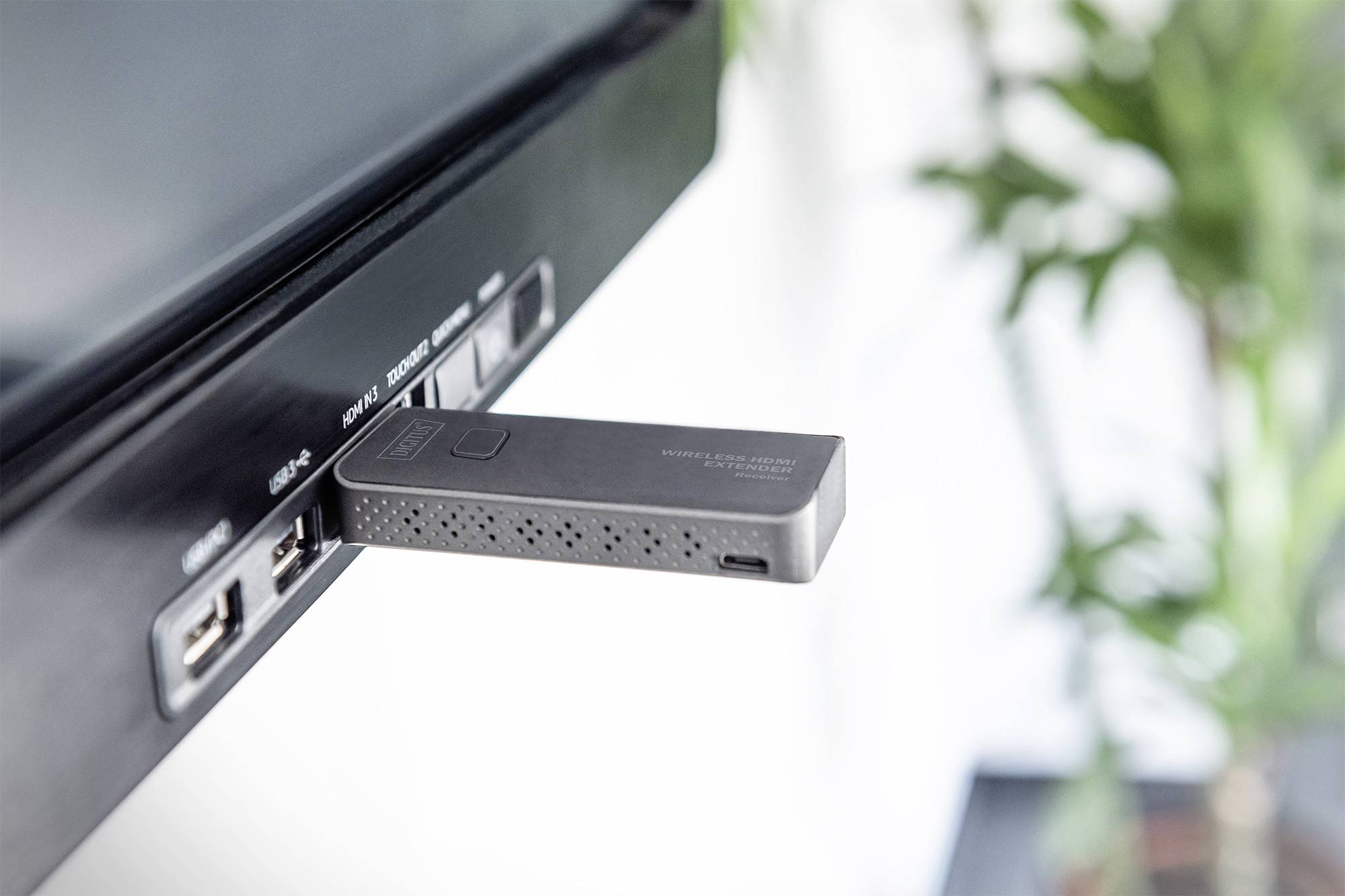 Une clé USB est branchée dans un port latéral d'un téléviseur. Des plantes floues sont visibles en arrière-plan.
