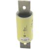 Eaton LPJ-125SP LPJ-125SP Cartouche-fusible (Ø x L) 41 mm x 146 mm 600 V temporisé -T- Contenu 1 pc(s)