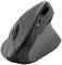Souris d'ordinateur verticale ergonomique, noire, avec molette de défilement et deux boutons. Conçue pour soulager la main et améliorer l'utilisation.