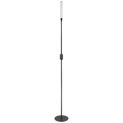 Lampadaire étroit et moderne avec un mât noir et un socle rond. Abat-jour transparent et allongé au sommet.
