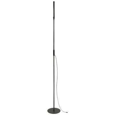 Une lampe sur pied élancée, noire, avec un socle rond et une tige droite et longue, reliée par un câble noir.