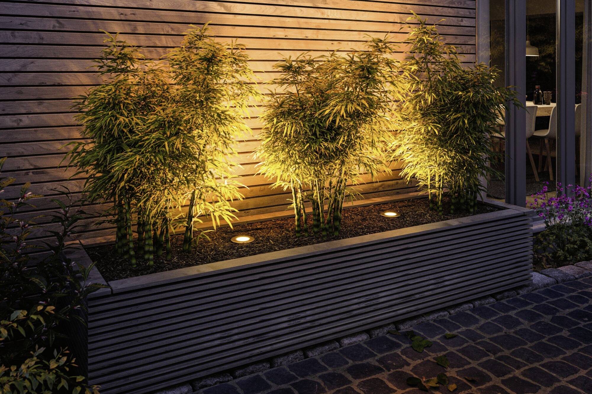 Plusieurs plantes de bambou dans un bac surélevé éclairé devant un revêtement en bois, à la tombée du jour, avec une terrasse moderne en arrière-plan.