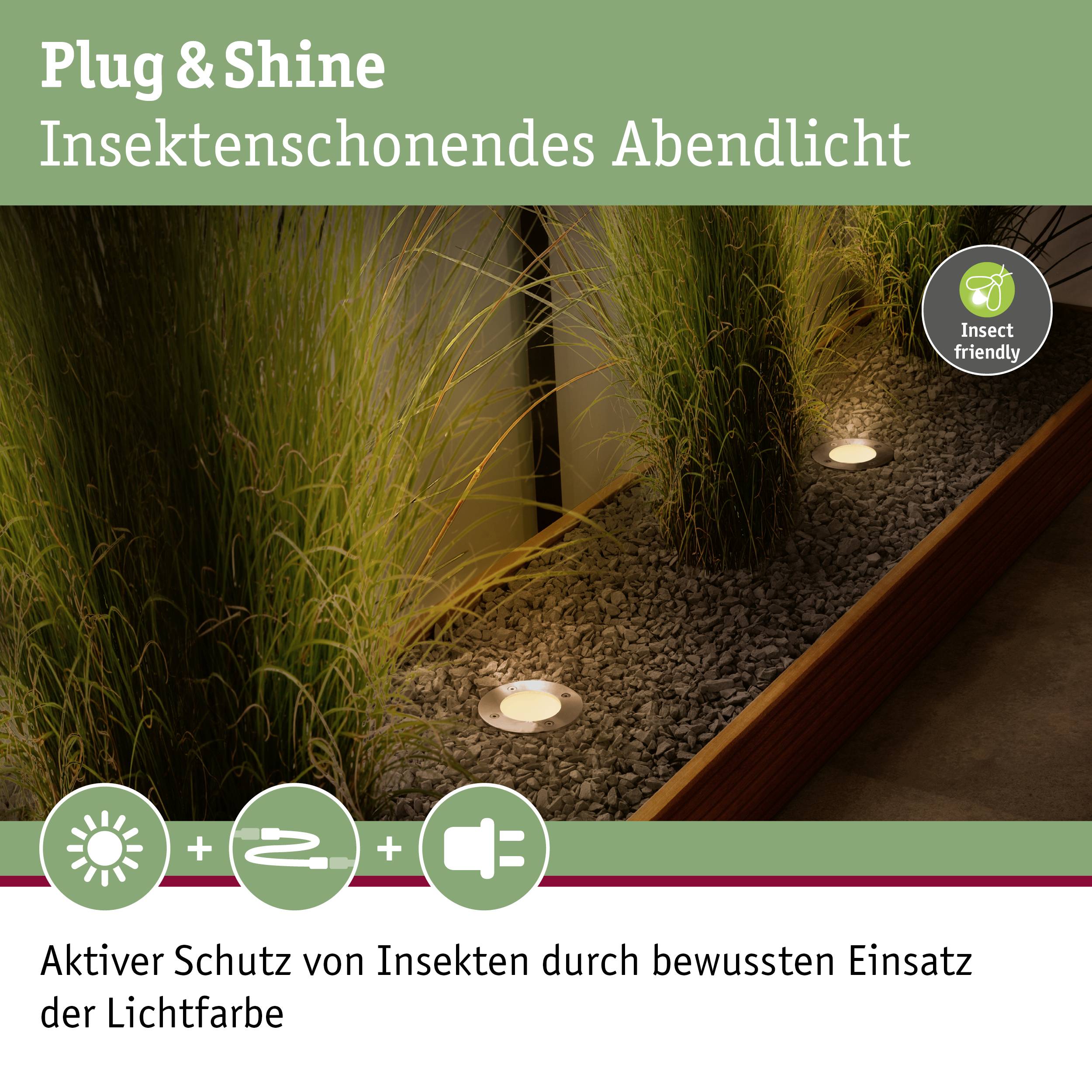 Plug & Shine Lumière du Soir Respectueuse des Insectes - Luminaires de jardin installés au sol, entourés de plantes, ménageant les insectes grâce à leur couleur de lumière.