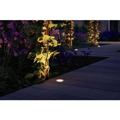 Un chemin de jardin éclairé avec des planches de bois, bordé de plantes vertes et de fleurs illuminées par des lumières chaleureuses.