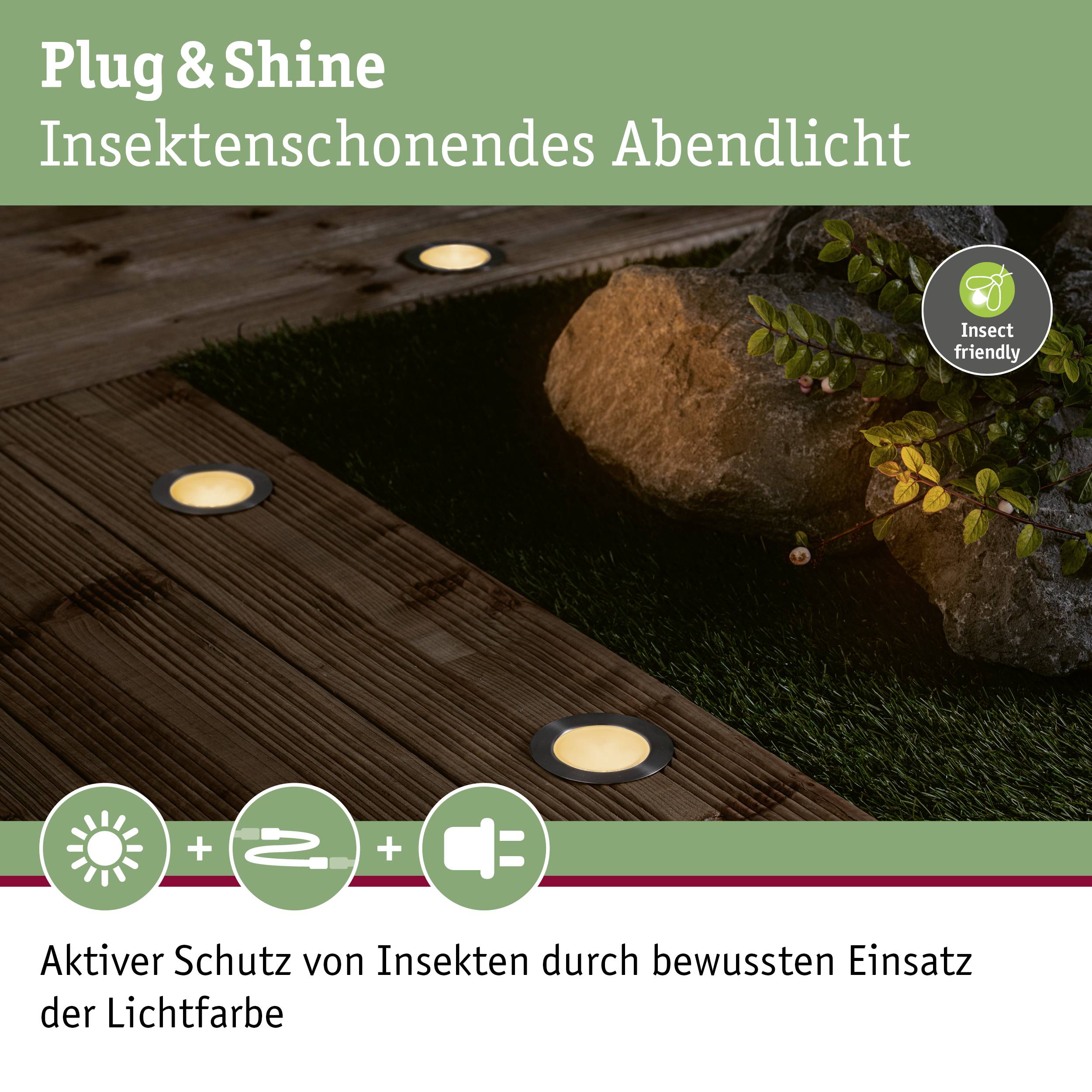 'Plug & Shine Lumière du Soir Respectueuse des Insectes.' Chemin de jardin éclairé avec système d'éclairage LED intégré, entouré de plantes.