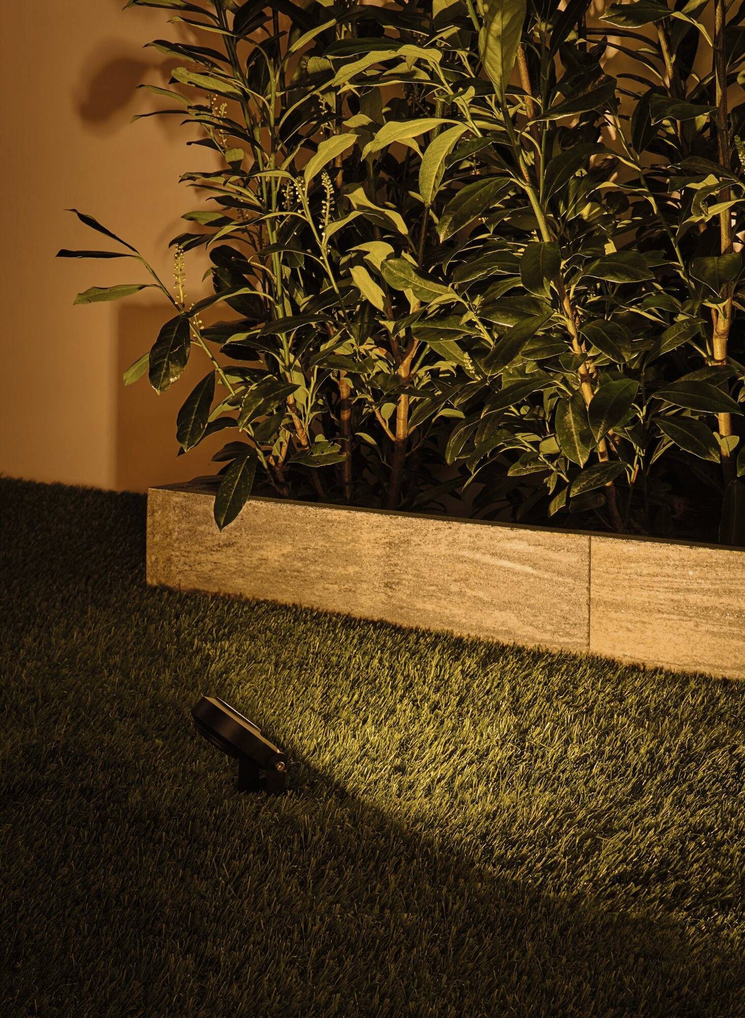 Un projecteur illumine la nuit une rangée de plantes dans un massif de jardin. Les lumières chaudes mettent en valeur les feuilles contre un mur.